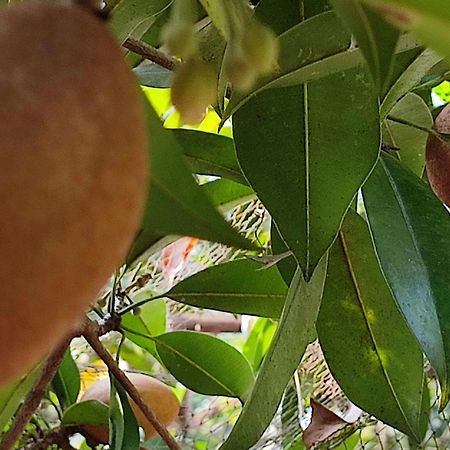 Vivaresidence Homestay Alappuzha 外观 照片