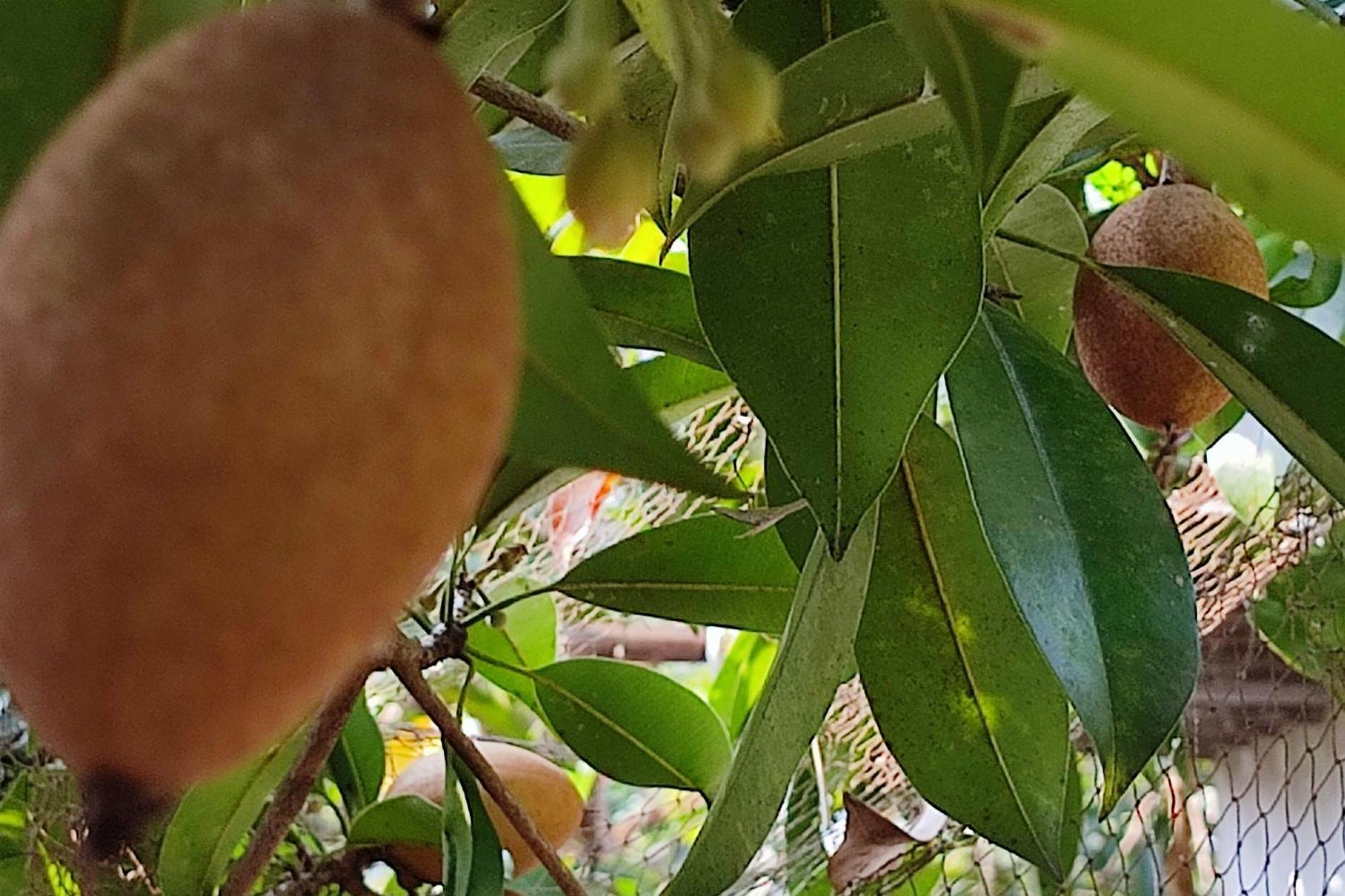 Vivaresidence Homestay Alappuzha 外观 照片