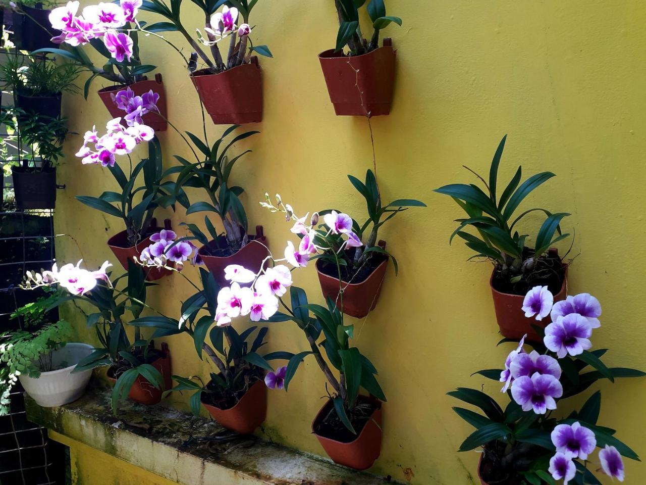 Vivaresidence Homestay Alappuzha 外观 照片